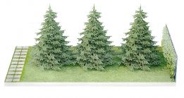 Ландшафтный модуль «Живая изгородь» Ландшафтный модуль «Живая изгородь»